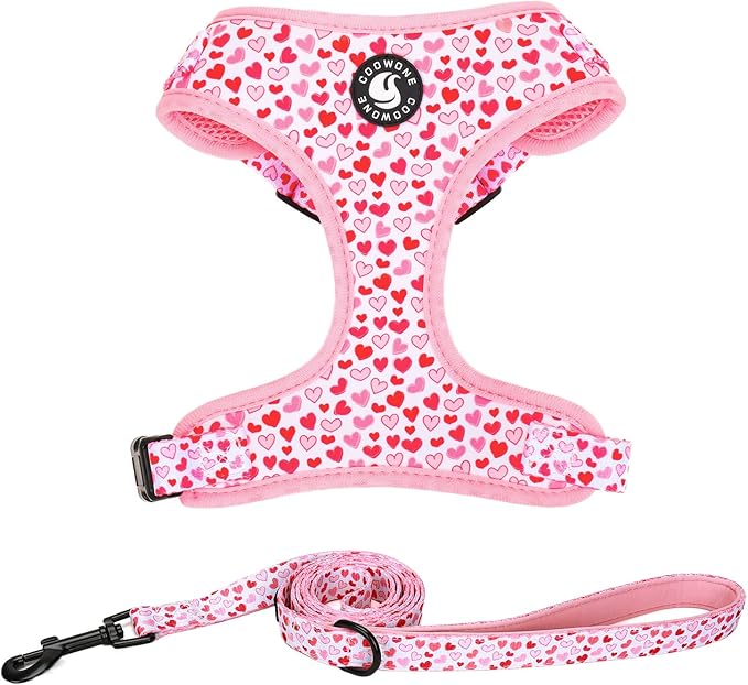Dog Harness and Leash Set, Adjustable Dog Harness, Dog Leash, No Pull No Choke Puppy Harnesses for Walking Training for Small, Medium Pet (Little Love, XS(Chest 11-13", Neck 9-11"))