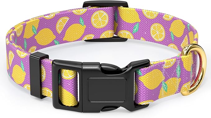 Rnivvi Dog Collar for Small Dogs, Cute Heavy Duty Adjustable Puppy Collar with Quick Release Buckle for Girl & Female, Pet Accessories for Walking Running, S Length 3/4" Width, Lemon