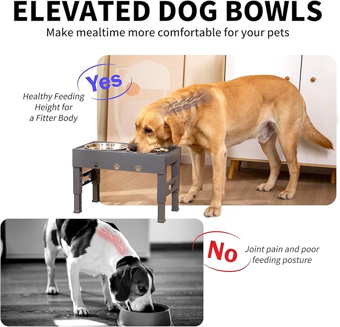 LAKIPETN Elevated Dog Bowls with 2 Stainless Steel Bowls, Raised Dog Food Bowl Stand 5 Height Adjustable (3.1", 9", 10", 11", 12") Non-Slip Feeder Set for Medium and Large Dogs - Gray
