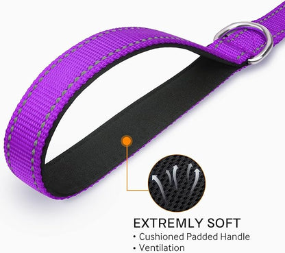Joytale Double-Sided Reflective Dog Leash, 6 FT/5 FT/4 FT, Padded Handle Nylon Heavy Duty Leashes for Medium & Large Dogs Walking, Purple, 5FT