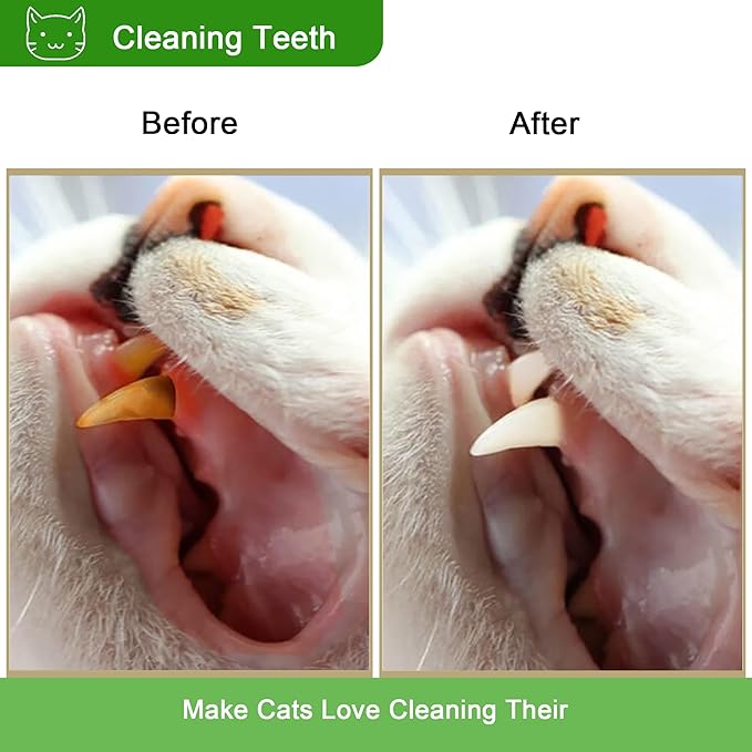 Leoezx Silvervine Sticks for Cats, Silver Rattan Stick Catnip Stick,Kitten Training Toy,Cats Chew Stick Indoor,Cat Interactive Toy,Tooth Cleaning for cat,Kitty Wooden Tooth Stick Cat Game