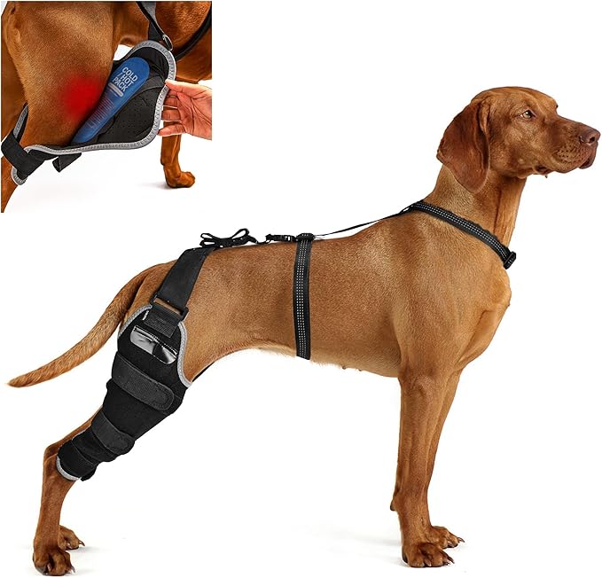 ACL Brace for Dogs Rear Leg – Reflective Adjustable Knee Brace for Dogs Back Leg with Hot/Cold Compress Gel Pack for Joint Pain Relief, Swelling Reduction and Rehabilitation, Right Leg, Size XL