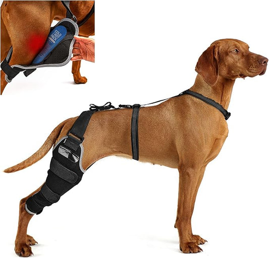 ACL Brace for Dogs Rear Leg – Reflective Adjustable Knee Brace for Dogs Back Leg with Hot/Cold Compress Gel Pack for Joint Pain Relief, Swelling Reduction and Rehabilitation, Right Leg, Size XL