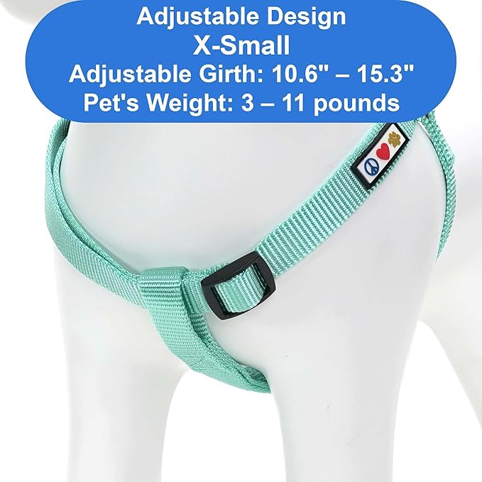 Pawtitas Personalized Dog & Puppy Harness Extra Small Teal Custom ID Tag Adjustable No Pull Vest