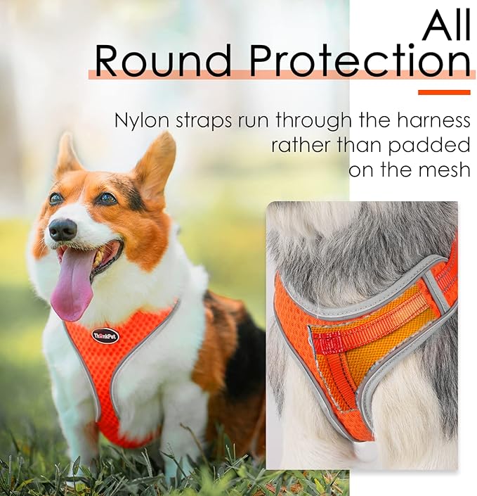 ThinkPet Reflective Breathable Soft Air Mesh No Pull Puppy Choke Free Over Head Vest Harness for Puppy Small Medium Dogs and Cats Orange Large