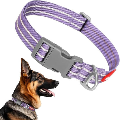 Tacwild Adjustable Reflective Dog Collar, Puppy Collar with D-Ring Buckle - Durable Safety Nylon Dog Collars for Medium Dogs (Purple-M)