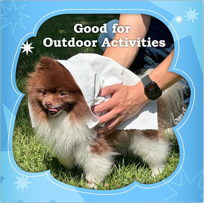 Extra Large Size - 20.5" x 12.6" Pet Wipes | Individually Packaged | Paw Wipes | Hypoallergenic | Grooming | Bathing | Green Tea Scented Deodorizing | Tear Stain | All Purpose Bath Wipes | 10 Counts