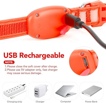 Light up Collar for Small Dog,Vizpet XS Adjustable Size Nylon Collar USB Rechargeable Bright Safety Pet Collar for Cats Small Dogs (Orange, X-Small[ 8.66-11.9 inch/22cm-30cm])