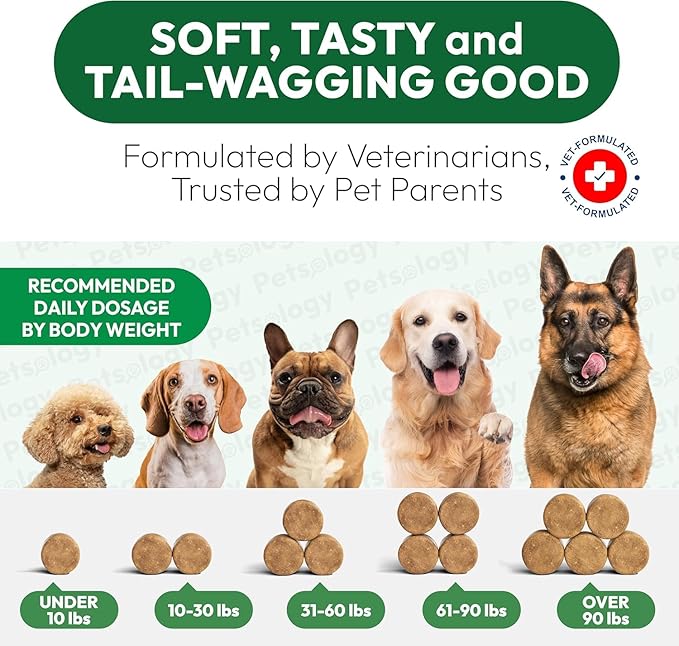 (2 Pack) Glucosamine for Dogs - 340 Mobility Chews - Advanced Hip and Joint Supplement for Dogs - Glucosamine Chondroitin - MSM - Joint Pain Relief - Made in USA
