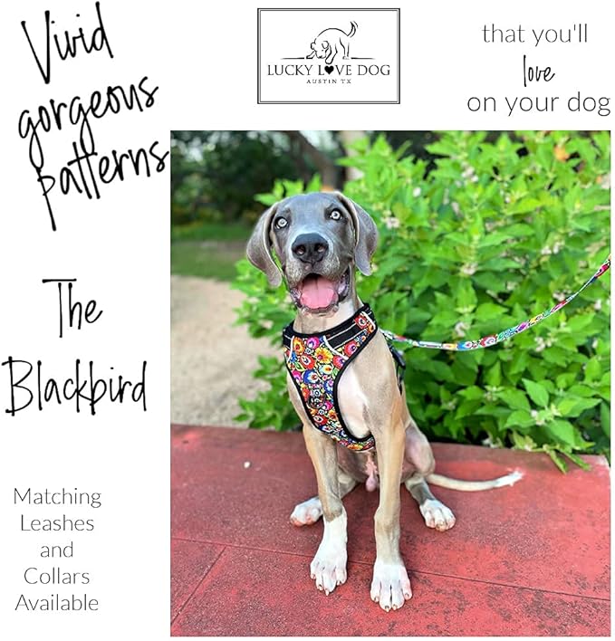 Lucky Love Dog No Pull Dog Harness, Adjustable and Easy to Walk, Cute Patterned Harness for Small Medium Large Male & Female Dogs - Blackbird, XS