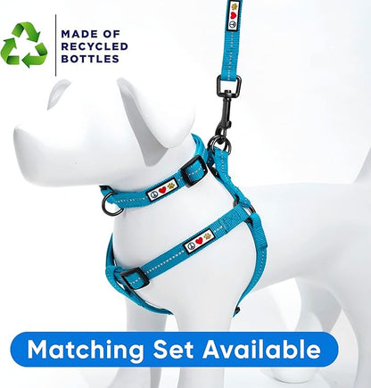 Pawtitas Teal Dog Leash 6 ft M/L Reflective Durable Lightweight Recycled Lead for Medium or Large Dogs and Puppies