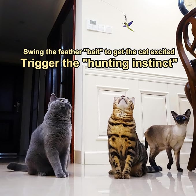 TTcat Cat Wand Toys Replacement Cat Toy Attachments,3 Pcs Hummingbird Insect Feathers Refills for Cat Wands.