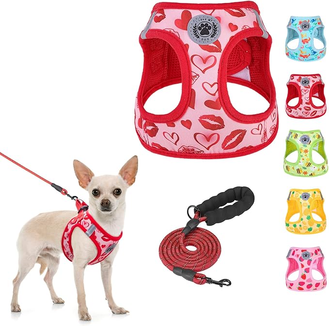 BEAUTYZOO Step in Dog Harness and Leash Set,Reflective Dog Harness No Pull No Choke Puppy Harness for Small Medium Large Dogs Cats,Soft Padded Mesh Vest Harnesses for Girl and Boy,Valentine's Day M