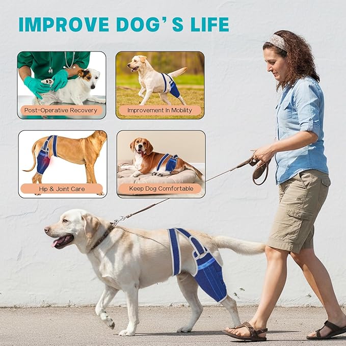 Dog Knee Brace for Torn ACL Hind Leg–Adjustable Support Dog Leg Brace for Back Leg with 2 Stabilizers, Hip Support to Reduces Pain Luxating Patella , Ligament Injuries, CCL (Blue, Left Leg, 2XL)