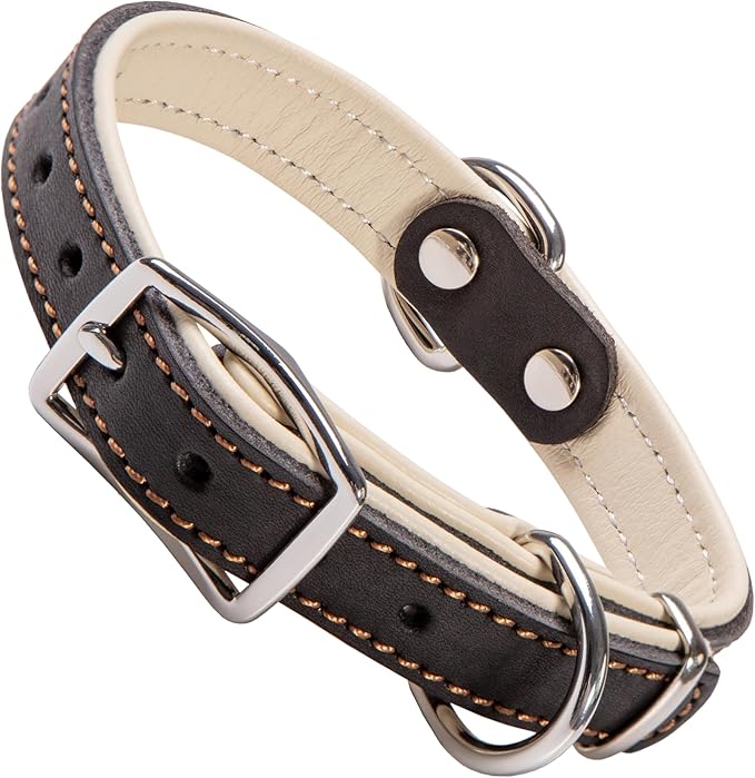ADITYNA Heavy-Duty Black Leather Dog Collar for Small Dogs - Soft Padded for Comfort - Small Dog Collar for Walking, Training, and Hiking