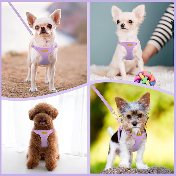 SlowTon Dog Harness Small Sized Dog - Soft XXS Dog Harness and Leash Set No Pull No Chock, Adjustable Lightweight Puppy Harness for XS Small Medium Dogs Cats (Solid Purple, S)