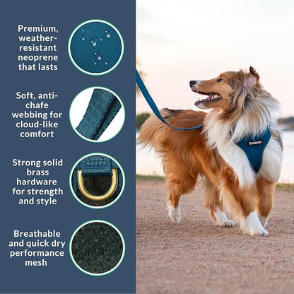 DJANGO Adventure Dog Harness - Stylish and Durable Medium Dog Harness for Outdoor Adventures and Everyday Wear - Indigo Blue Neoprene Adjustable Harness for Dogs with Reflective Piping, Brass D-Ring