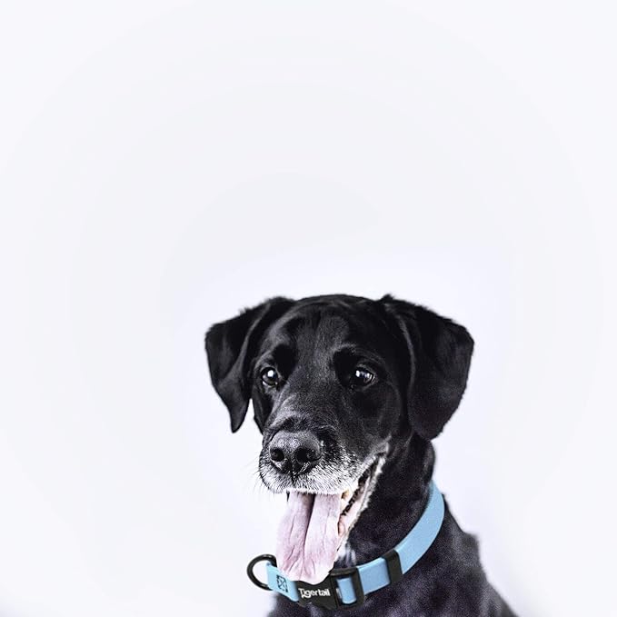 Tiger Tail Large Sky Blue Dog Collar | Waterproof and Odor-Proof for Active Pets | Durable, Anti-Mat, and Lightweight Design | Made with Premium Coated Nylon | Suitable for Large Breed Dogs