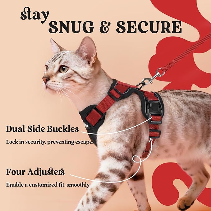 rabbitgoo Cat Harness and Leash for Walking, Escape Proof Soft Adjustable Vest Harnesses for Cats, Easy Control Breathable Reflective Strips Jacket, Black & Red, M