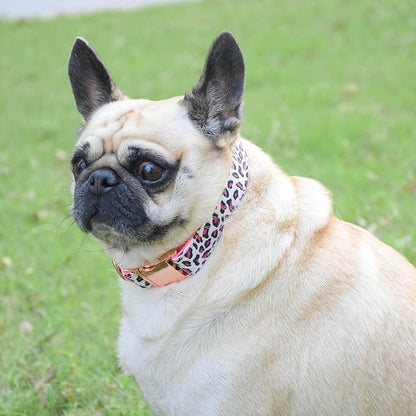 Metal Buckle Dog Collar, Durable Adjustable Dog Collar Soft for Small Medium Large Dogs (S(10-14in), Pink Leopard)