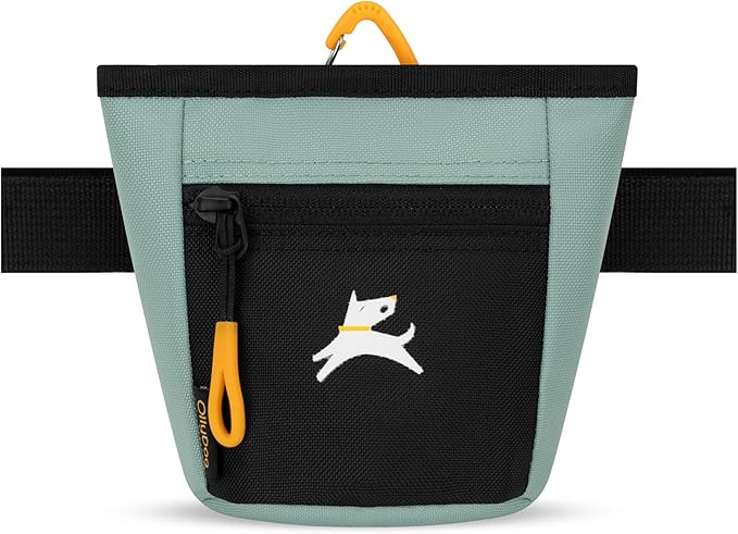 OllyDog Goodie Treat Bag, Dog Treat Pouch, Waist Belt Clip for Hands-Free Training, Magnetic Closure, Dog Training and Behavior Aids, Three Ways to Wear (Surf)