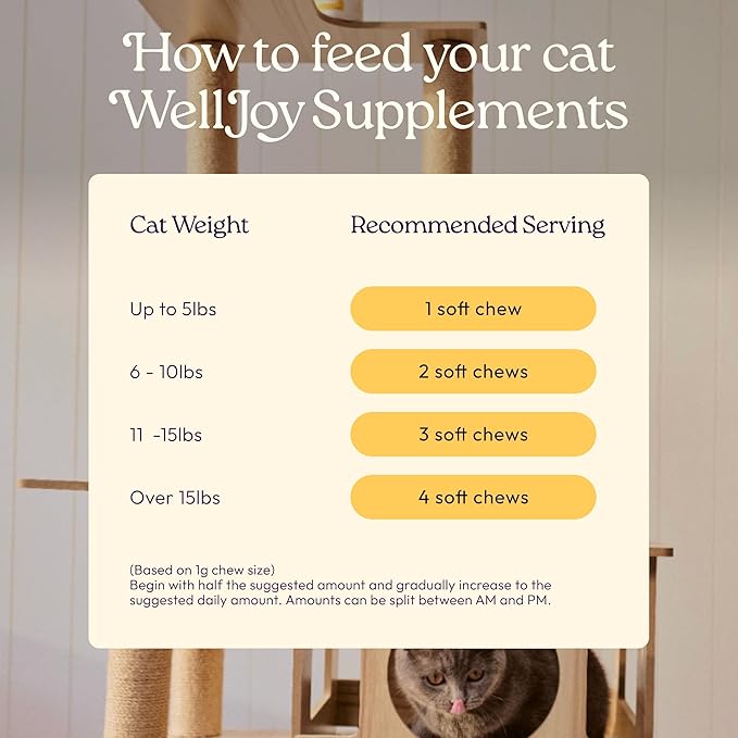 New! WellJoy Cat Supplement Immune+ GutBoost | Cat Health Supplement | Enhances Immune Response | Dual-Benefit GutBoost Formulation | Vet Formulated | Made in USA | Chicken Flavor | 90 Soft Chews
