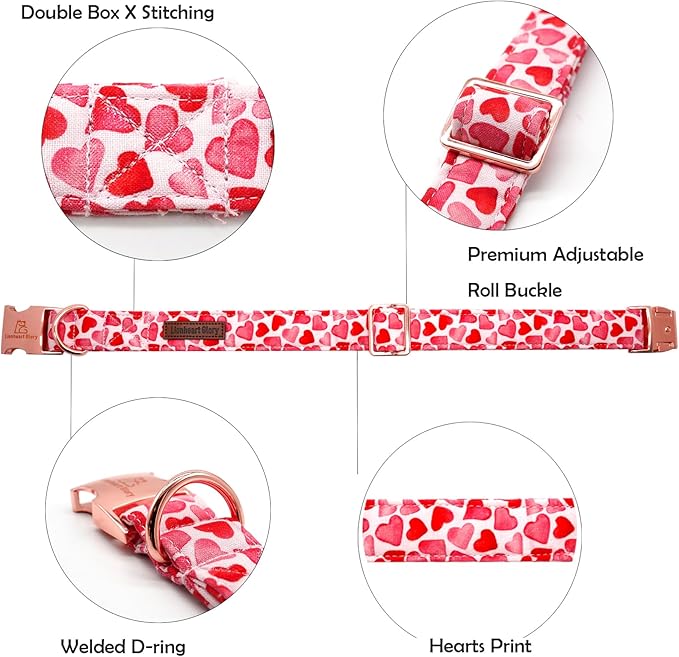 Lionheart glory Valentine Collar, Red Hearts Dog Collar for Medium Cute Dog Collars Spring Female Pet Gift Adjustable Heavy-Duty Dog Collar Holiday