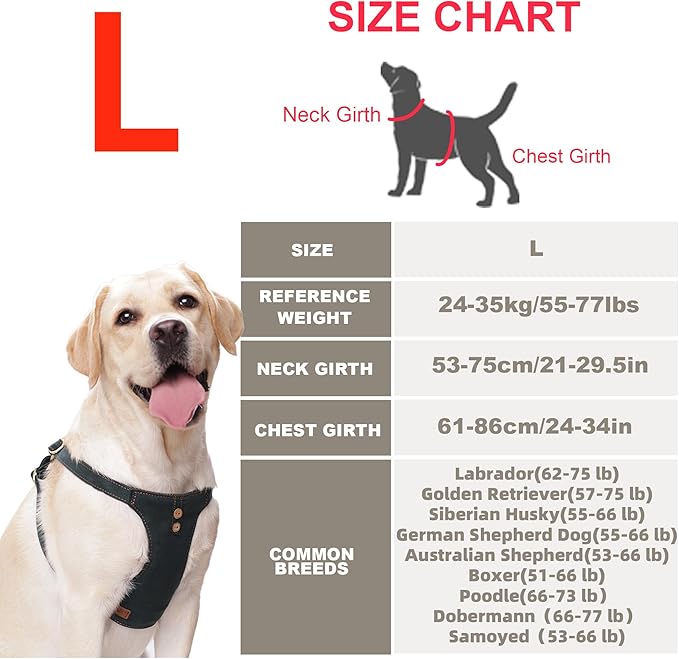 Dog Harness, No Pull Dogs Harness and Multi-Function Leash Set for Medium Dogs Easy Walk Everyday Adjustable Soft Dog Vest Harness Fashionable Dog Accessories Denim Vintage Green-Button-L