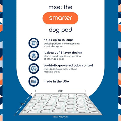 Pet Life Unlimited Smart Prints Extra Extra Large Puppy Pads – 30" x 36", 64 Count (XXL) | Stylish Dog Training Pads with Odor Controlling Wetness-Activated Magnolia Blossom Scent | USA Made