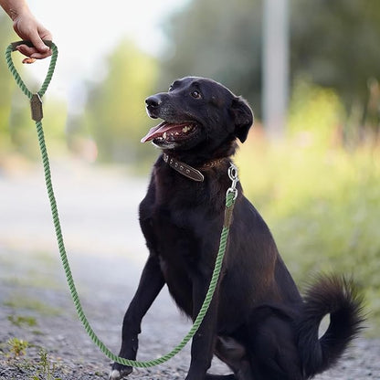 Mile High Life Dog Leash, Braided Cotton Rope Leashes with Leather Handle - Heavy Duty Metal Clasp, 5FT, 1/2" Thick - Wedding, Walking & Training Leash for Small Medium Large Dogs (Kashmir)