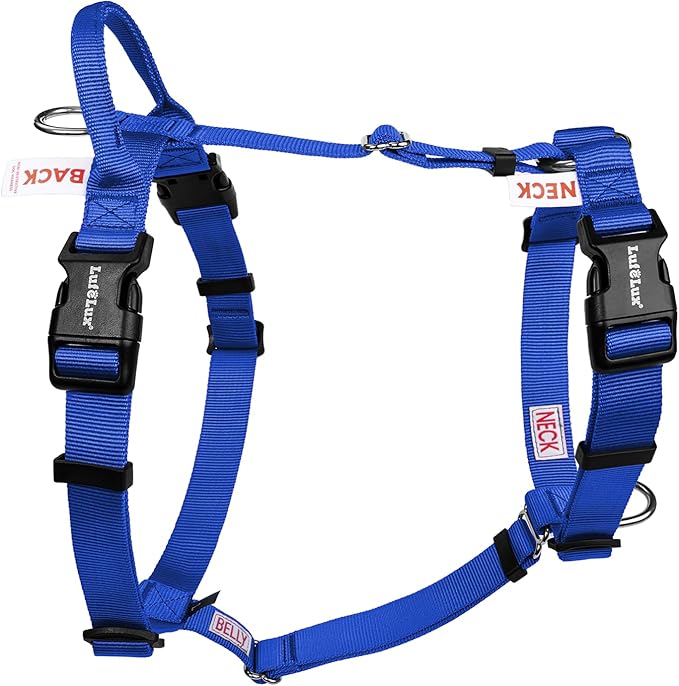Non Restrictive Dog Harness, Easy Walk Freedom No Pull Harness, Keep Balance, Neck Buckle, 2 Leash Clips for Back/Front Clip, Sewn-in Instructions Labels for Easy Put On/Off (Blue, X-Large)