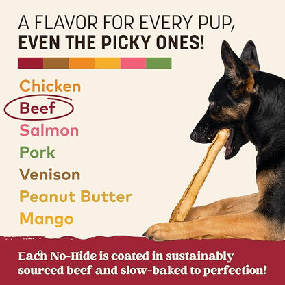 Earth Animal No Hide Chews - Long Lasting Rawhide Free Large Dog Chews Rolls, Beef - 3 Count Value Pack