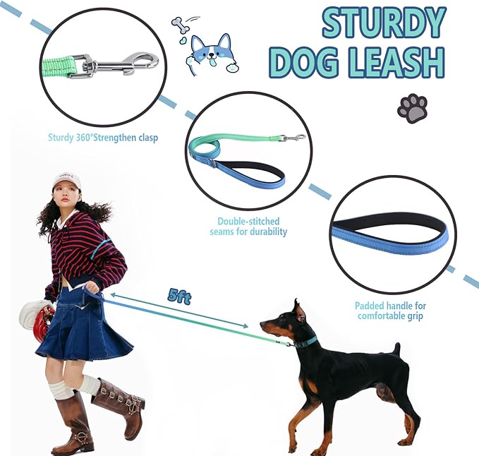 Roses&Poetry Bluegreen Small Dog Collar and Leash Set, Puppy Reflective Leashes with Collars, Adjustable Durable Matching Collar Leash for Small Dogs Girl (Bluegreen-XS)