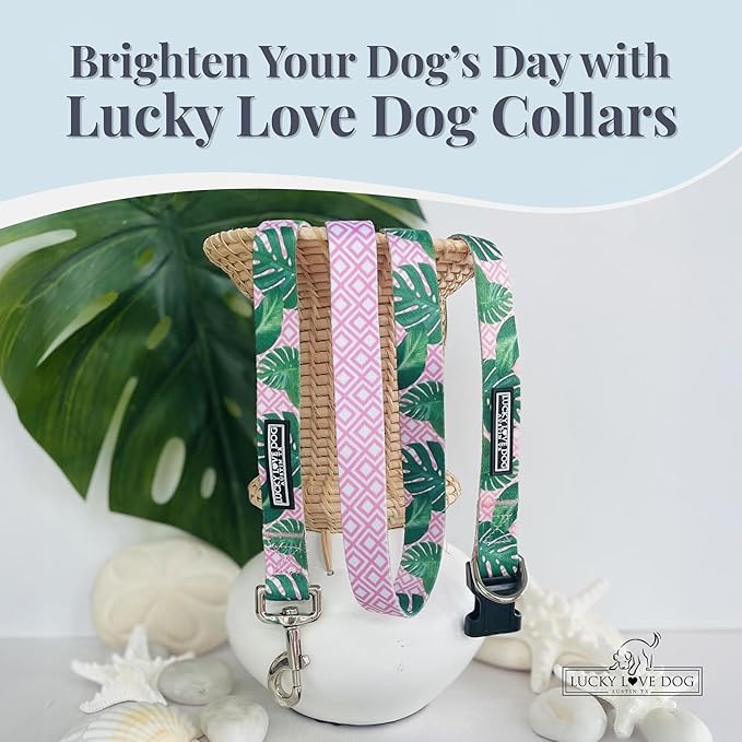 Lucky Love Dog - Adjustable Dog Collar with Easy Click Buckle for Small Dogs, Durable, & Comfortable for Male & Female Dogs, Pet Collar for Puppies & Adult Dogs - Laguna, Small