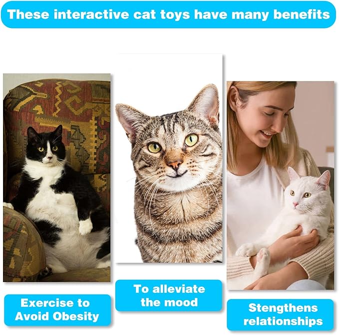 M JJYPET Retractable Cat Toy Wand, 12 Packs Interactive Cat Feather Toys, 9 Assorted Teaser Refills with Bell for Kitten (Pink)