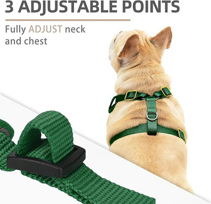 PUPTECK Christmas Small Dog Harness and Leash Set, No Pull Adjustable Puppy Cat Harness, Reflective Soft Mesh Pet Vest Small Sized, Santa Claus, M