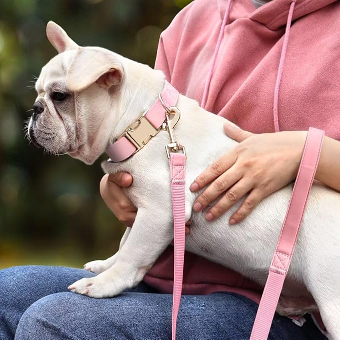 PET ARTIST Soft PU Leather Dog Collar and Leash Set, Bright & Stylish 5FT PU Leather Leash and Collar Set, Durable Pet Collars with Quick Release Metal Buckle for Large Dogs,Pink,L(16-27")