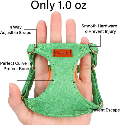 No Pull Dog Harness- Lightweight, Soft, Adjustable Small Harness Collar and Leash Set, Suitable for Cats Puppy Small and Medium-Sized Dog Outdoor Training and Running (Green, XXS)