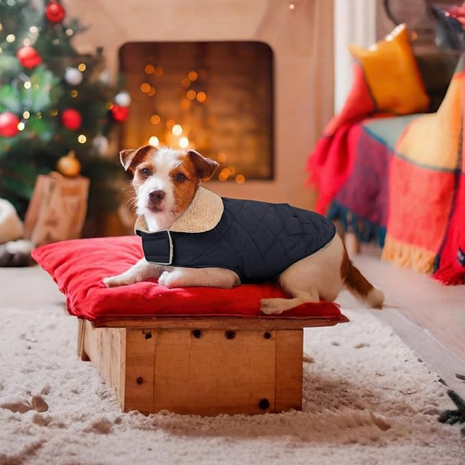 Winter Coat for Small Dogs, Puppy Plaid Jacket, Dog Jacket for Cold Weather, Windproof Warm Garments, Pets Thickened Outfits Indoor Outdoor, NavyBlue S