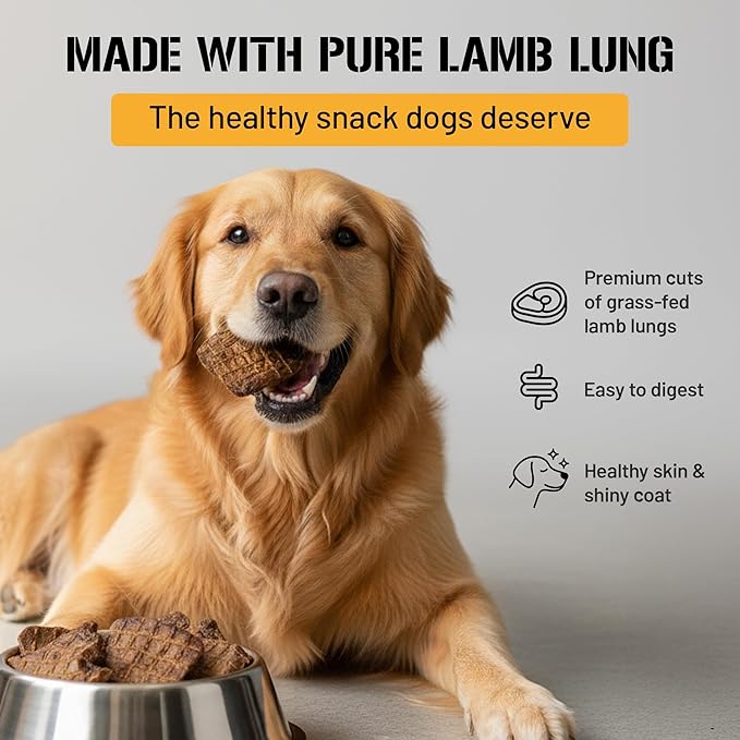 Dog Chits Lamb Lung Fillets Dog and Puppy Treats - Low Fat, High Protein Single Ingredient Dog Treat - Easy to Break Slices - Great for Training - Made in USA, Large 10 oz. Bag