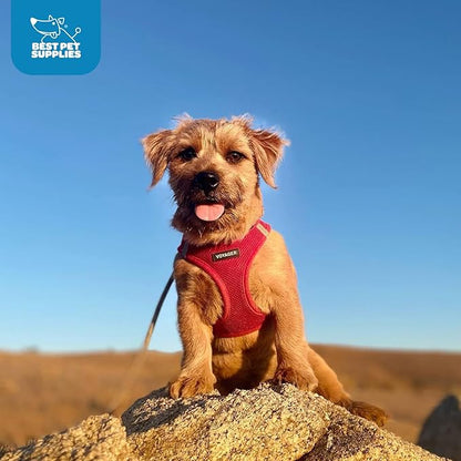 Best Pet Supplies Voyager Step-in Air Harness - All Weather Mesh, Reflective, No Pull Harness for Dogs, Cats - Secure with Hook & Loop Fastener, Buckle, Double D-Rings - Red, XXXS