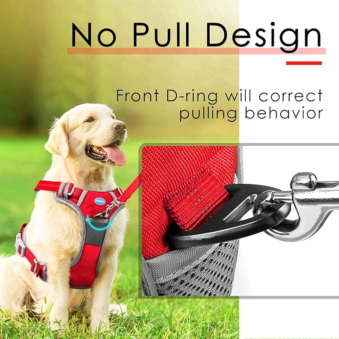 ThinkPet No Pull Harness Set Breathable Sport Harness with Handle - Reflective Padded Dog Safety Vest with Reflective Neon Dog Leash M Harness Leash Pack Red