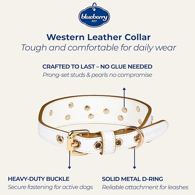 Blueberry Pet Western Genuine Leather Dog Collar for Small Breeds, Pearl White - Floral Embroidery, Pearl Studs, Adjustable 12-15 Inch Neck, Dog Collars for Small Dogs