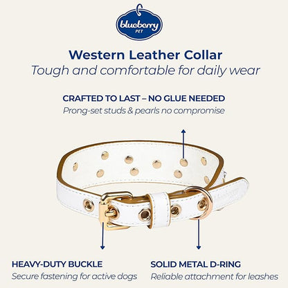 Blueberry Pet Western Genuine Leather Dog Collar for Small Breeds, Pearl White - Floral Embroidery, Pearl Studs, Adjustable 12-15 Inch Neck, Dog Collars for Small Dogs