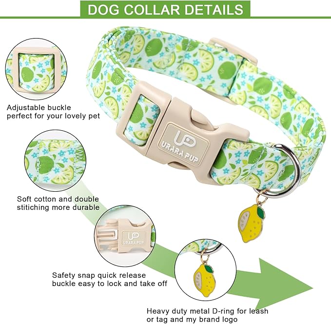 UP URARA PUP Summer Dog Collar-Refreshing Lime Pet Collars-Adjustable, Comfortable & Durable Puppy Collars for Small, Medium, Large Dogs