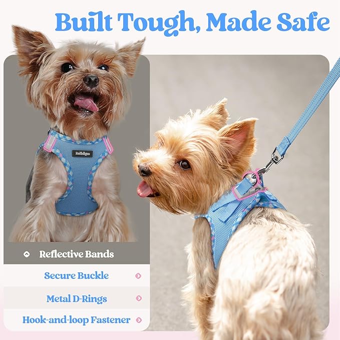 rabbitgoo Dog Harness Small Sized and Leash Set, Step in Soft Light Puppy Vest, Breathable Mesh Pet Harness, Reflective for Safe Easy Walking, Blue & Plaid Trim XXS
