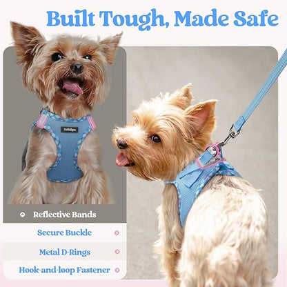 rabbitgoo Dog Harness Small Sized and Leash Set, Step in Soft Light Puppy Vest, Breathable Mesh Pet Harness, Reflective for Safe Easy Walking, Blue & Plaid Trim XXS