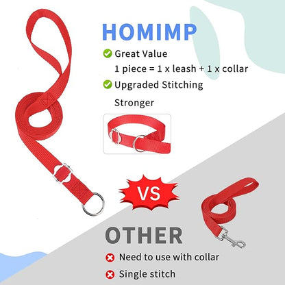 HOMIMP Slip Lead Dog Leash 6 FT- 6 PCS Bulk Colors Kennel Control Leashes for Small Medium Large Dogs Puppy Animal Rescue, Grooming - Heavy Duty Strong Nylon 6 Foot Long for Shelter, Vet, Training
