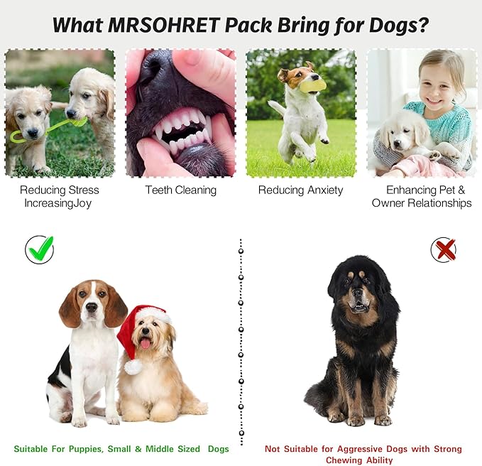 20Pcs Puppy Chew Toys for Teething, Dog Chew Toys with Rope Toy, Pet Dog Toothbrush, Treat Balls, Plush Toys and Squeaky Toys for Small Medium Dogs with Basket