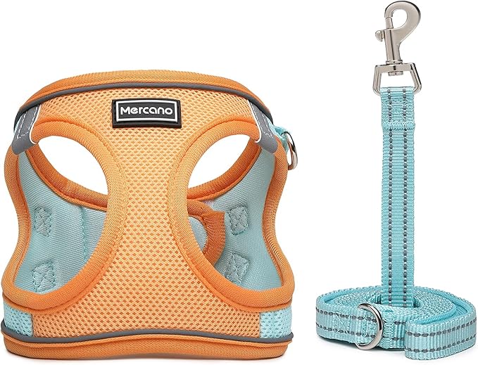 Mercano Soft Mesh Dog Harness and Leash Set, No-Chock Step-in Reflective Breathable Lightweight Easy Walk Vest Harnesses with Safety Buckle for Small Dogs, Cats (L, Orange Blue)